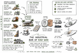 The Life Cycle Of Your Wax